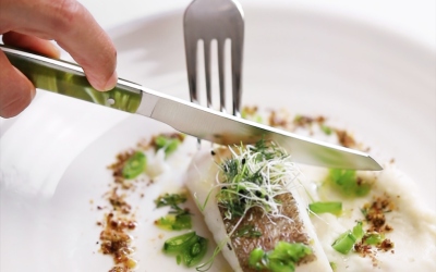 Cuáles son los alimentos más antiinflamatorios para incluir en tu dieta